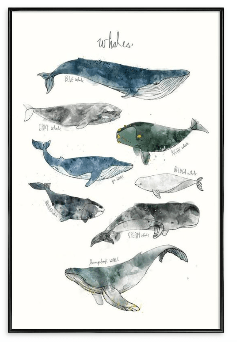 Screen Shot 2018-08-13 at 15.13.09